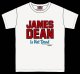 RALEIGH / JAMES DEAN IS NOT DEAD (邦題: このままじゃ終われない) MOVIE T-SHIRTS