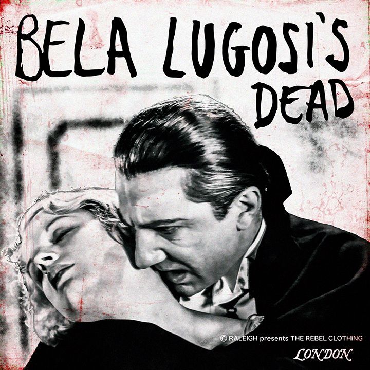 画像: RALEIGH/“F.HOLE (Bela Lugosi’s Dead)” C/N VINTAGE PARKA (Loose Fit)